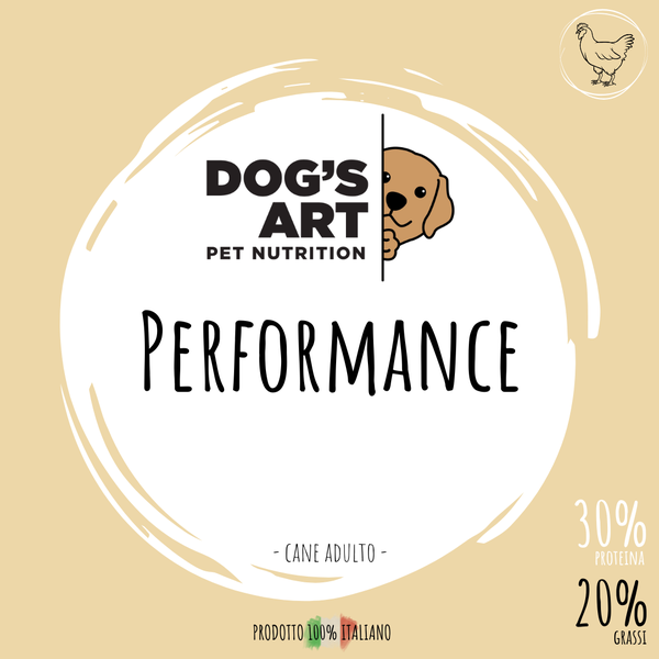 Performance - etichetta