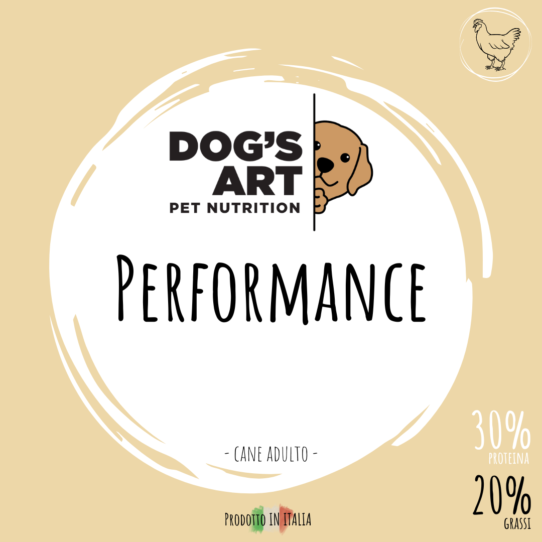 Performance - etichetta